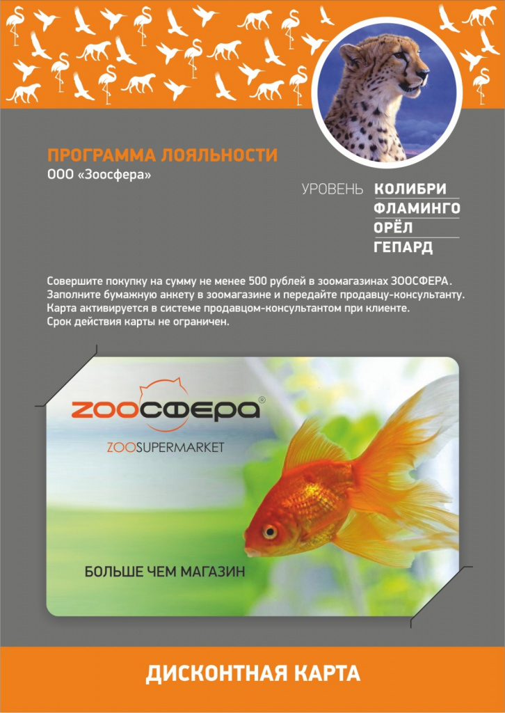 zoosfera_program_11.jpg
